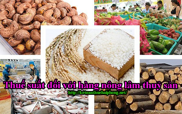 Thuế suất đối với mặt hàng nông lâm thuỷ sản